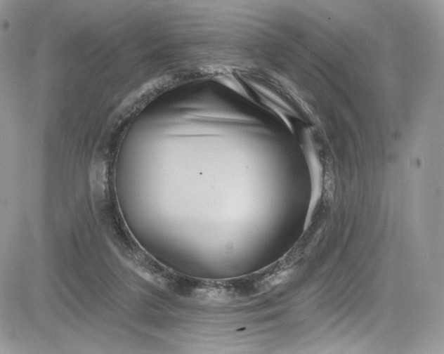 X0000081580211200701291248