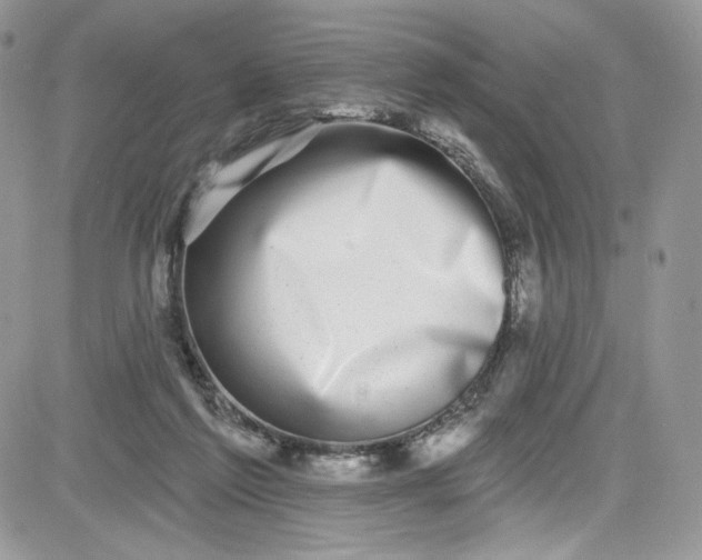 X0000081580213200701291248