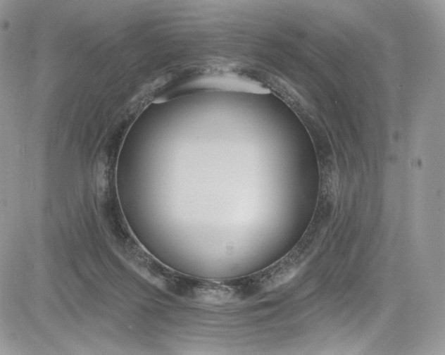 X0000081580215200701291248