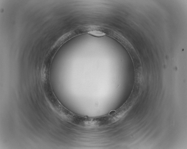 X0000081580216200701291248