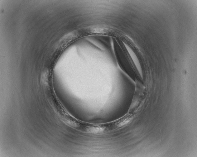 X0000081580217200701291248