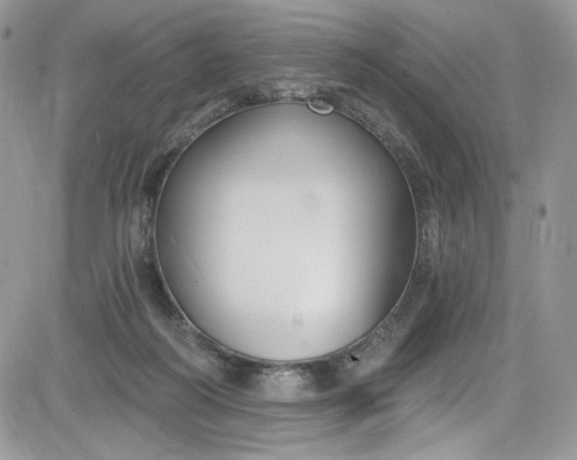 X0000081580218200701291248