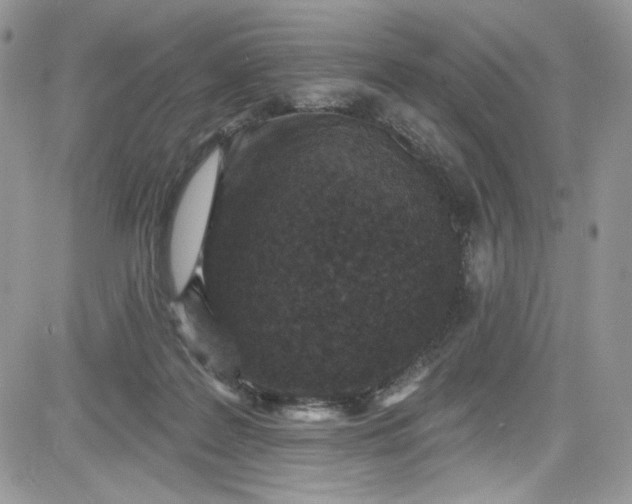 X0000081580219200701291248