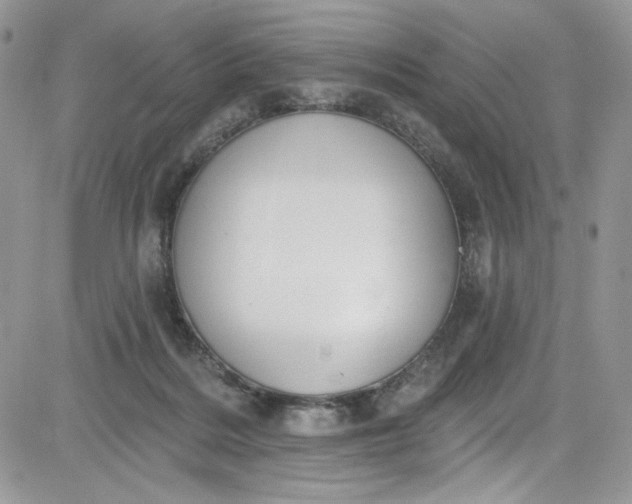 X0000081580220200701291248