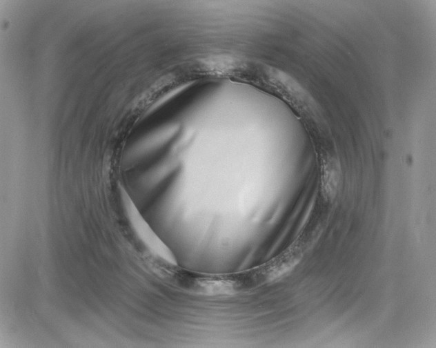 X0000081580221200701291248