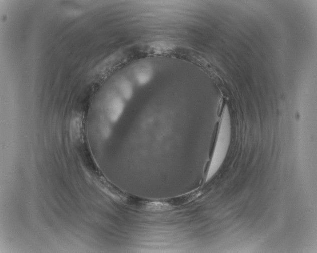 X0000081580222200701291248