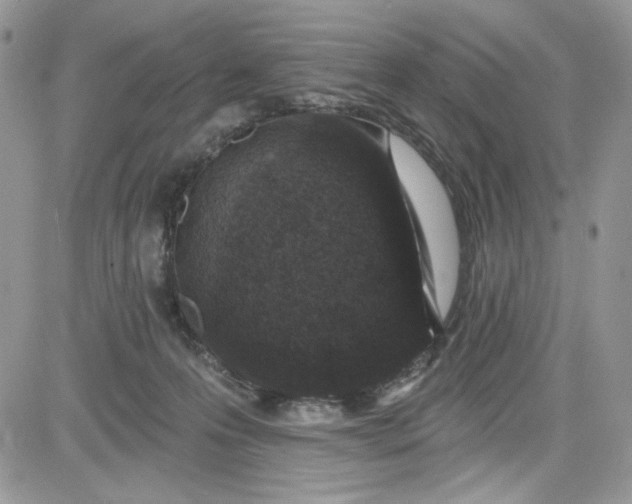 X0000081580223200701291248