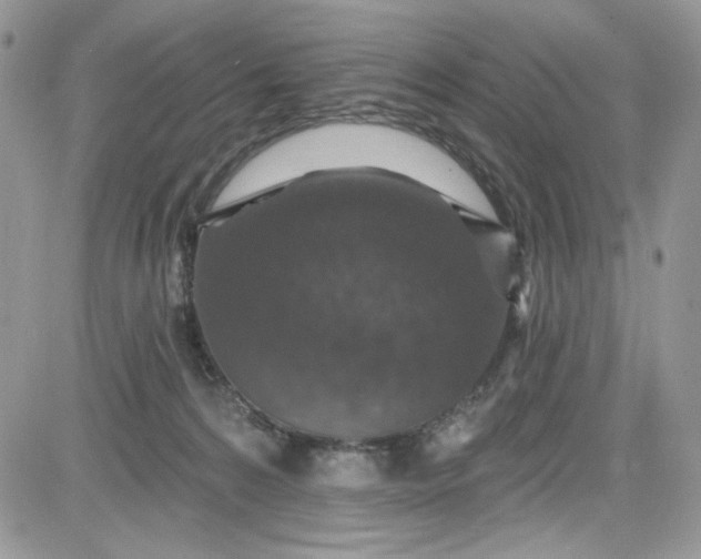 X0000081580224200701291248