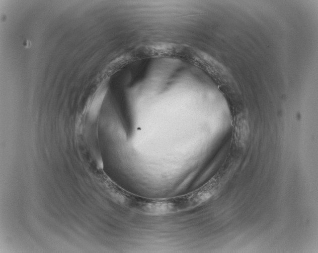 X0000081580225200701291248