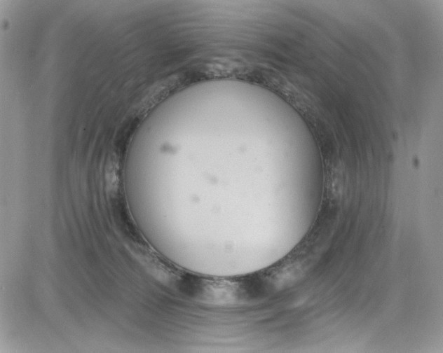 X0000081580226200701291248