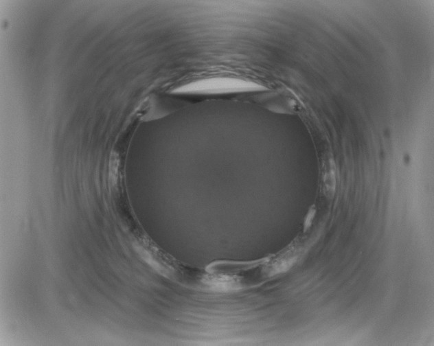 X0000081580231200701291248