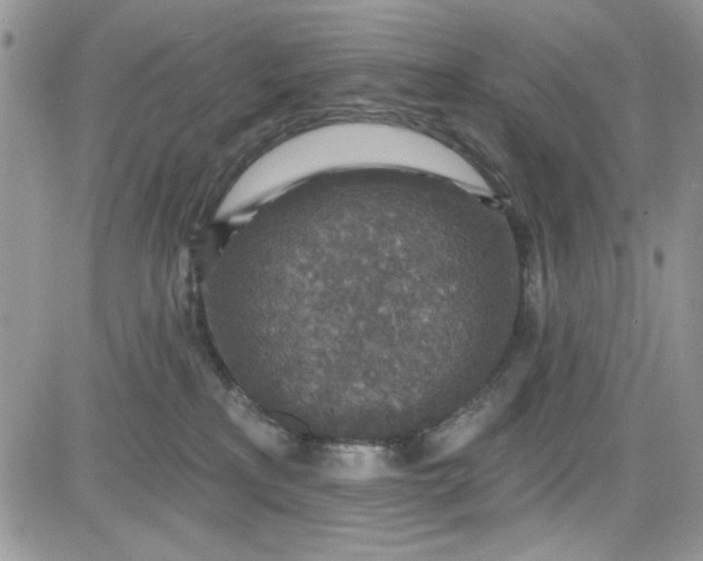 X0000081580233200701291248