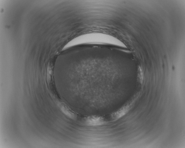 X0000081580235200701291248