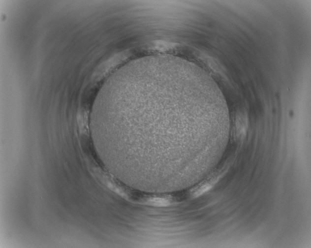 X0000081580236200701291248