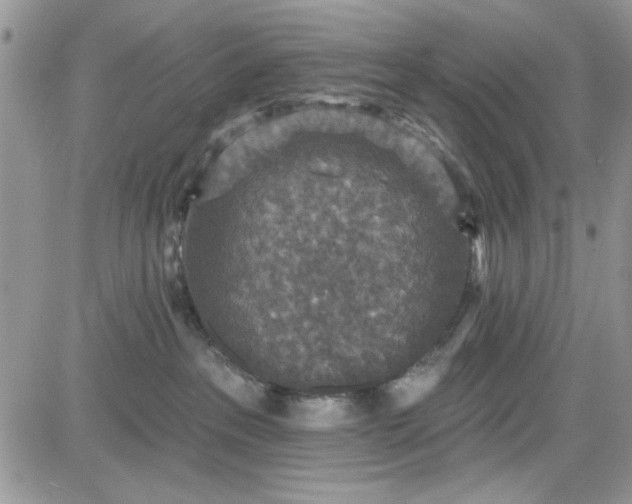 X0000081580237200701291248