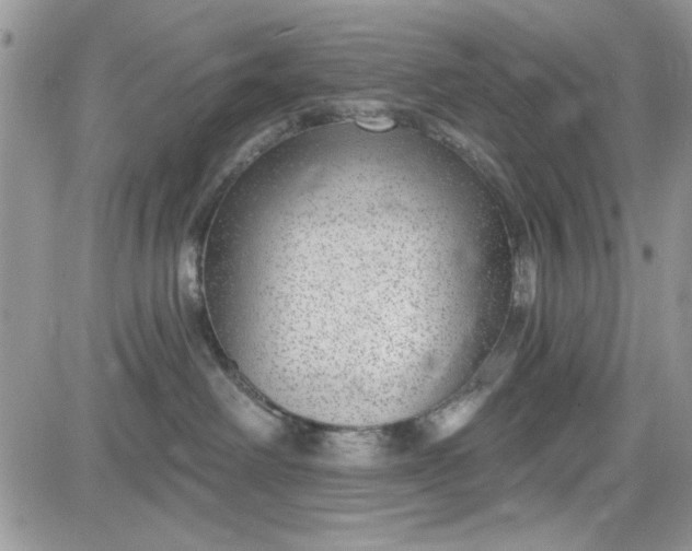 X0000081580238200701291248