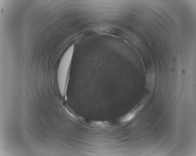 X0000081580239200701291248