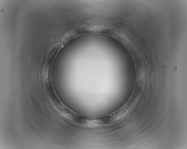 X0000081580268200701291247