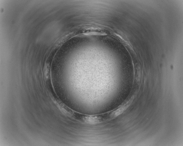 X0000081580273200701291247