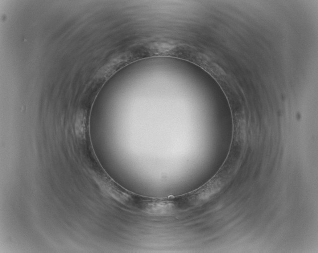 X0000081580274200701291247
