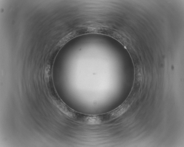 X0000081580275200701291247