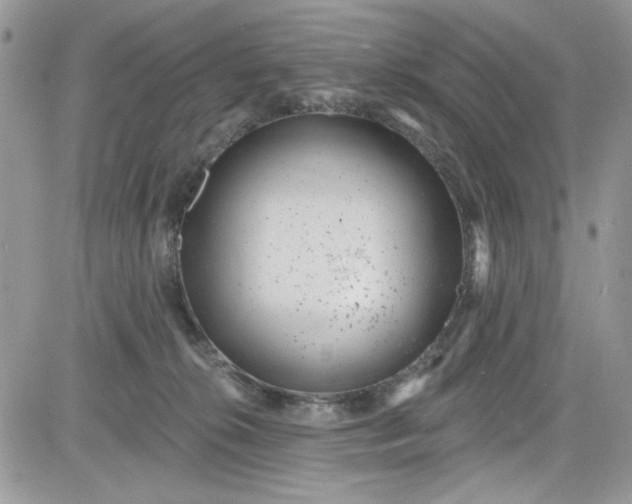 X0000081580276200701291248