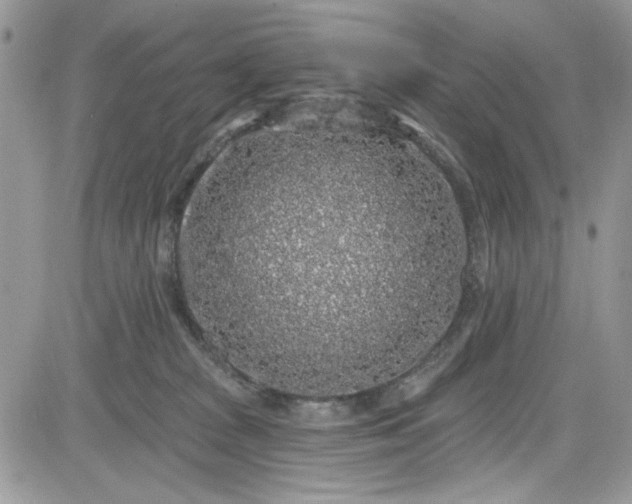 X0000081580277200701291248