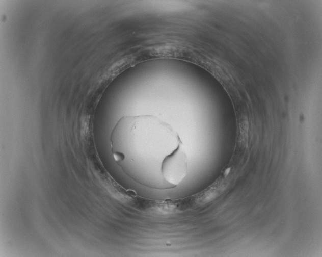 X0000081580278200701291248