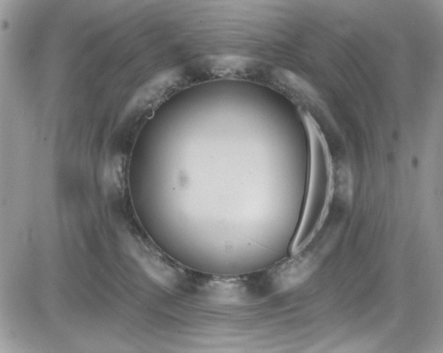 X0000081580280200701291248