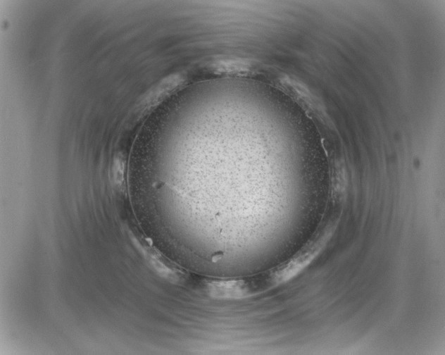 X0000081580281200701291248