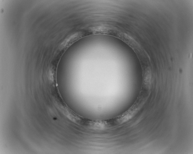 X0000081580282200701291248