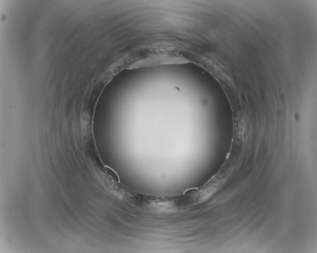 X0000081580283200701291248