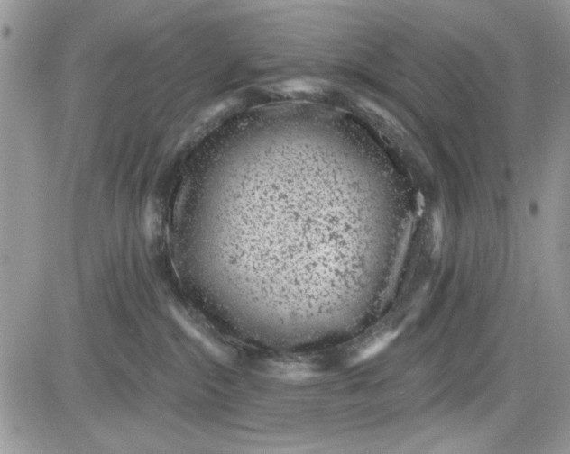 X0000081580284200701291248