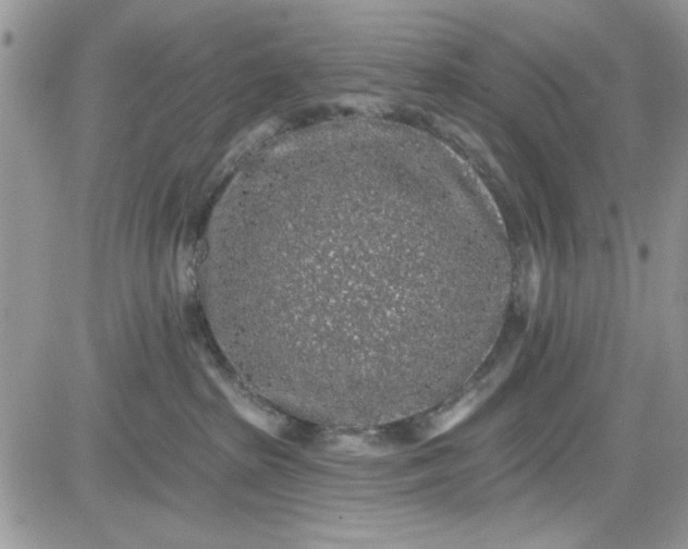 X0000081580285200701291248