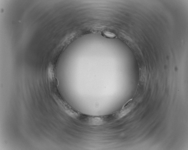 X0000081580287200701291248