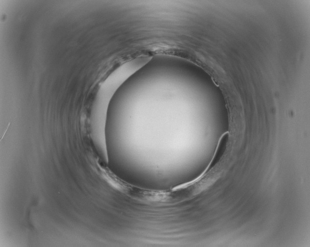 X0000081580288200701291248