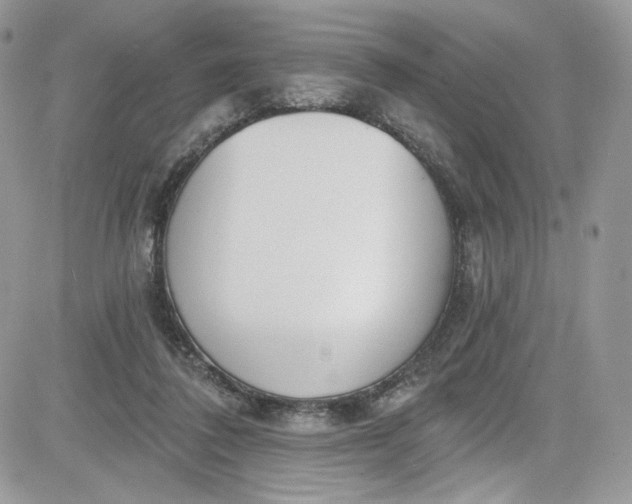 X0000081580308200701291247