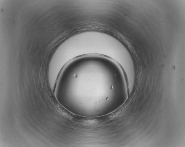 X0000081580313200701291247