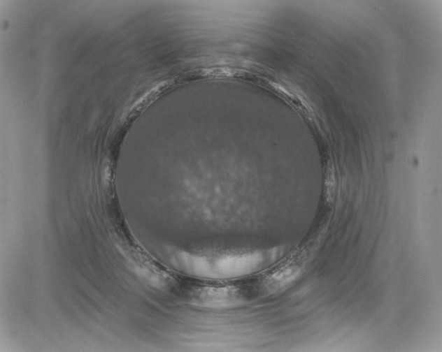 X0000081580314200701291247