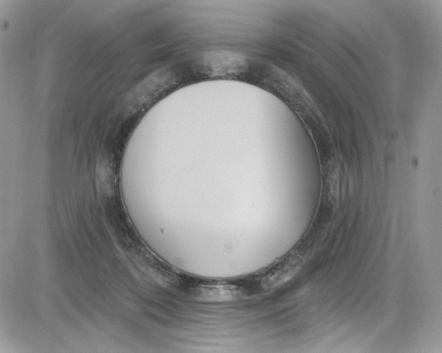 X0000081580316200701291246