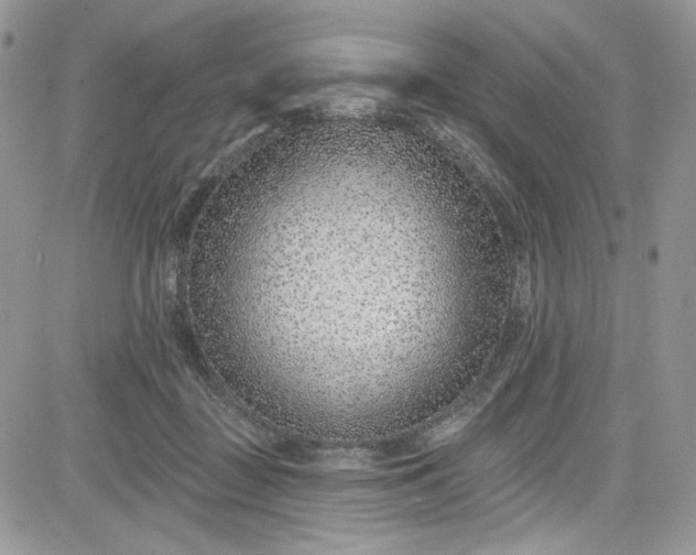 X0000081580363200701291246