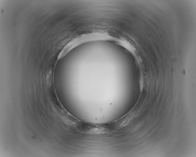 X0000081580364200701291246