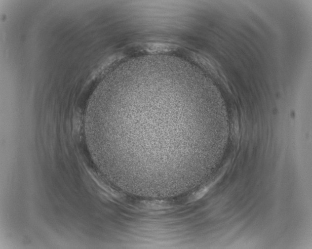 X0000081580367200701291246