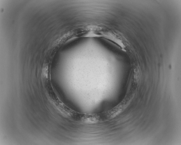 X0000081580368200701291246