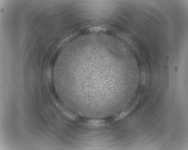 X0000081580375200701291246