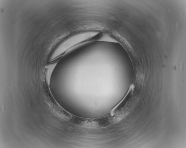 X0000081580403200701291245