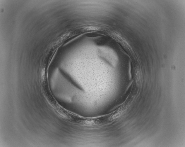 X0000081580406200701291245