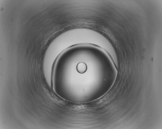 X0000081580411200701291245