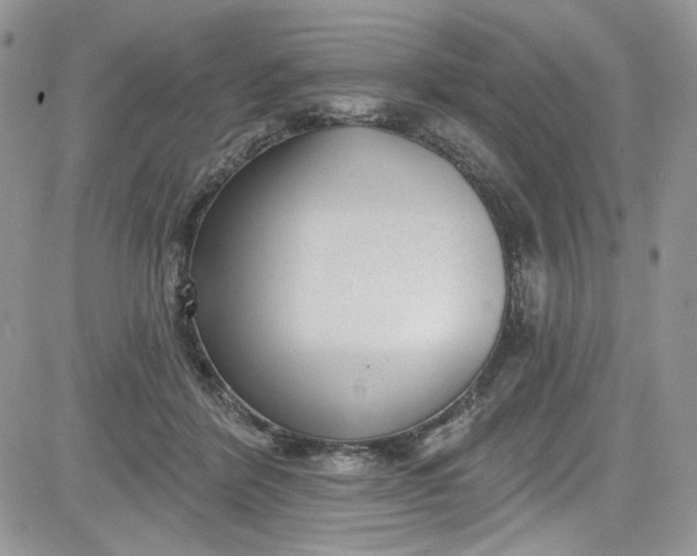 X0000081580412200701291245