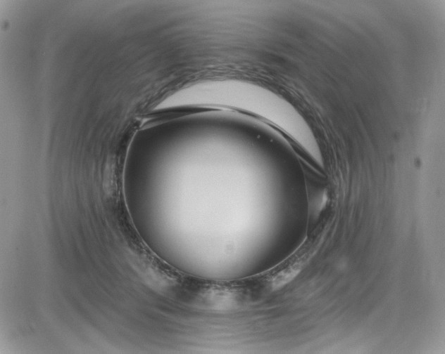 X0000081580416200701291245